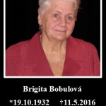 Brigita Bobulová (19.10.1932 Lučenec – 11.5.2016 Košice) S veľkým zármutkom sme prijali správu, že dnes ráno nás po ťažkej chorobe navždy opustila režisérka a herečka Brigita Bobulová… Divadlu zasvätila celý svoj život, či už ako herečka vo filmoch Roky prelomu (1989), Šiesta vesta (1986), Džarkovia (1973), Keby som mal pušku (1971), no najmä ako učiteľka […]