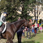 7.9.2017 Dnes zažili deti v Materskej škole Park Angelinum výnimočné dopoludnie. Na návštevu prišiel nádherný parkúrový koník Timber. Aj keď niektoré deti živého koňa videli po prvý krát, veľa o ňom vedeli. S pani riaditeľkou a pani učiteľkami sa ešte pred návštevou učili o živote koní a tak zodpovedali všetky otázky Timberovho majiteľa zo Slovenskej […]